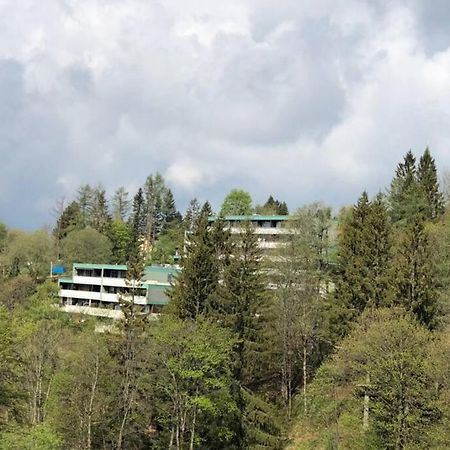 Apartment Harzblick -Neu Modernisiert- Санкт-Андреасберг Экстерьер фото
