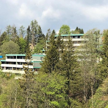 Apartment Harzblick -Neu Modernisiert- Санкт-Андреасберг Экстерьер фото