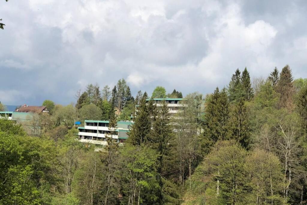Apartment Harzblick -Neu Modernisiert- Санкт-Андреасберг Экстерьер фото